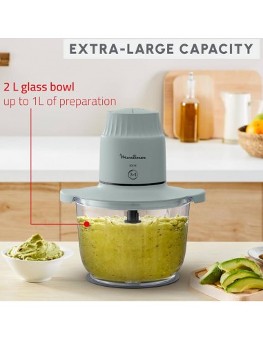 Mini hachoir 500W pour cuisine et préparations rapides