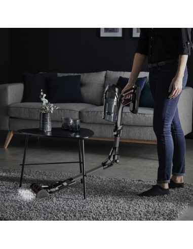 Aspirateur ROWENTA rechargeable pour poils d’animaux et sols divers