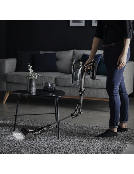 Aspirateur ROWENTA rechargeable pour poils d’animaux et sols divers