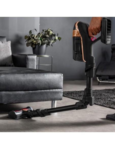 Mini électrobrosse pour poils d’animaux et tapis Rowenta