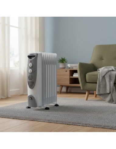 Radiateur bain d’huile 9 éléments chaleur douce constante