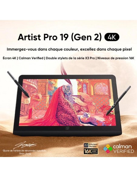 Tablette graphique professionnelle XP-PEN Artist Pro noire 19"
