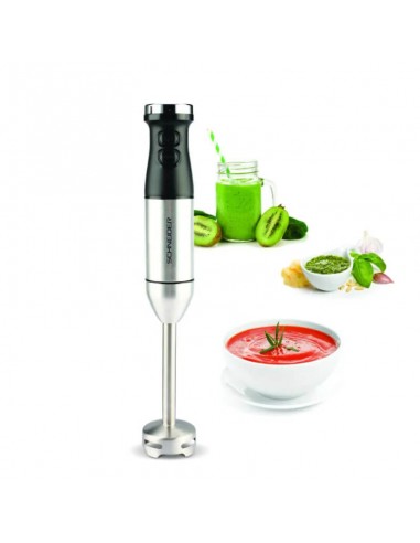 Mixeur plongeant multifonction SCHNEIDER pour maison