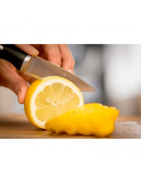 Couteau Tefal Ice Force de précision idéal pour éplucher Couteau Tefal Ice Force de précision idéal pour éplucher