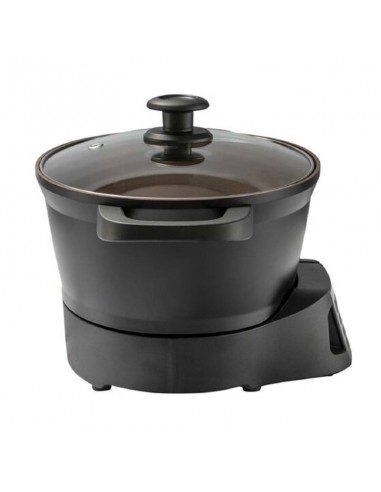 Cuiseur électrique 700W Russell Hobbs pour usage domestique