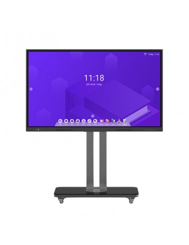 moniteur interactif HORION angle de vue 178 degrés