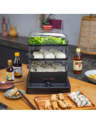 Appareil électroménager cuisine cuisson vapeur saine