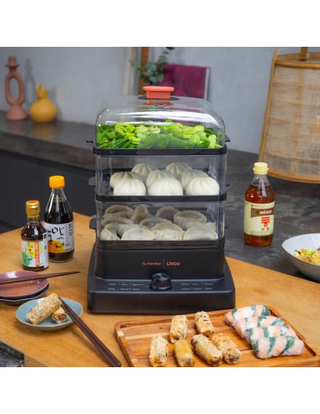 Appareil électroménager cuisine cuisson vapeur saine