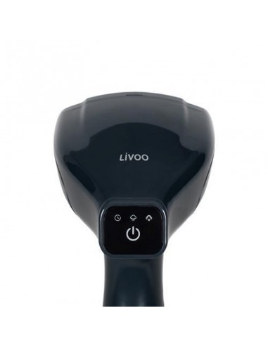 Défroisseur A Main LIVOO appareil vapeur domestique vêtements