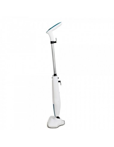 Nettoyeur vapeur portable léger pour sols et vitres