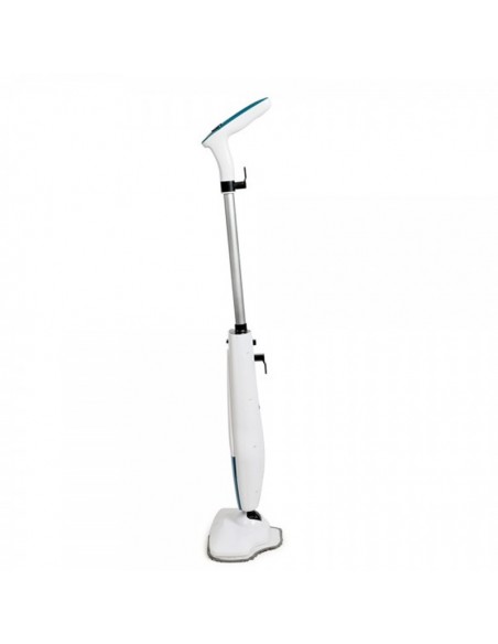 Nettoyeur vapeur portable léger pour sols et vitres