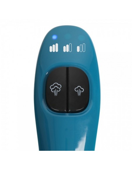 Nettoyeur vapeur écologique compact pour entretien maison