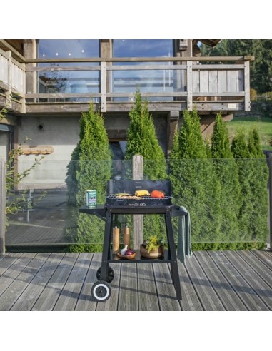 barbecue charbon balcon terrasse cuisson grill poisson légumes