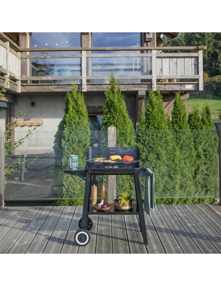 barbecue charbon balcon terrasse cuisson grill poisson légumes