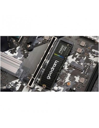 SSD interne haute performance 250Go pour stockage rapide