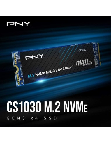 PNY CS1030 500Go ssd interne rapide pour windows gaming