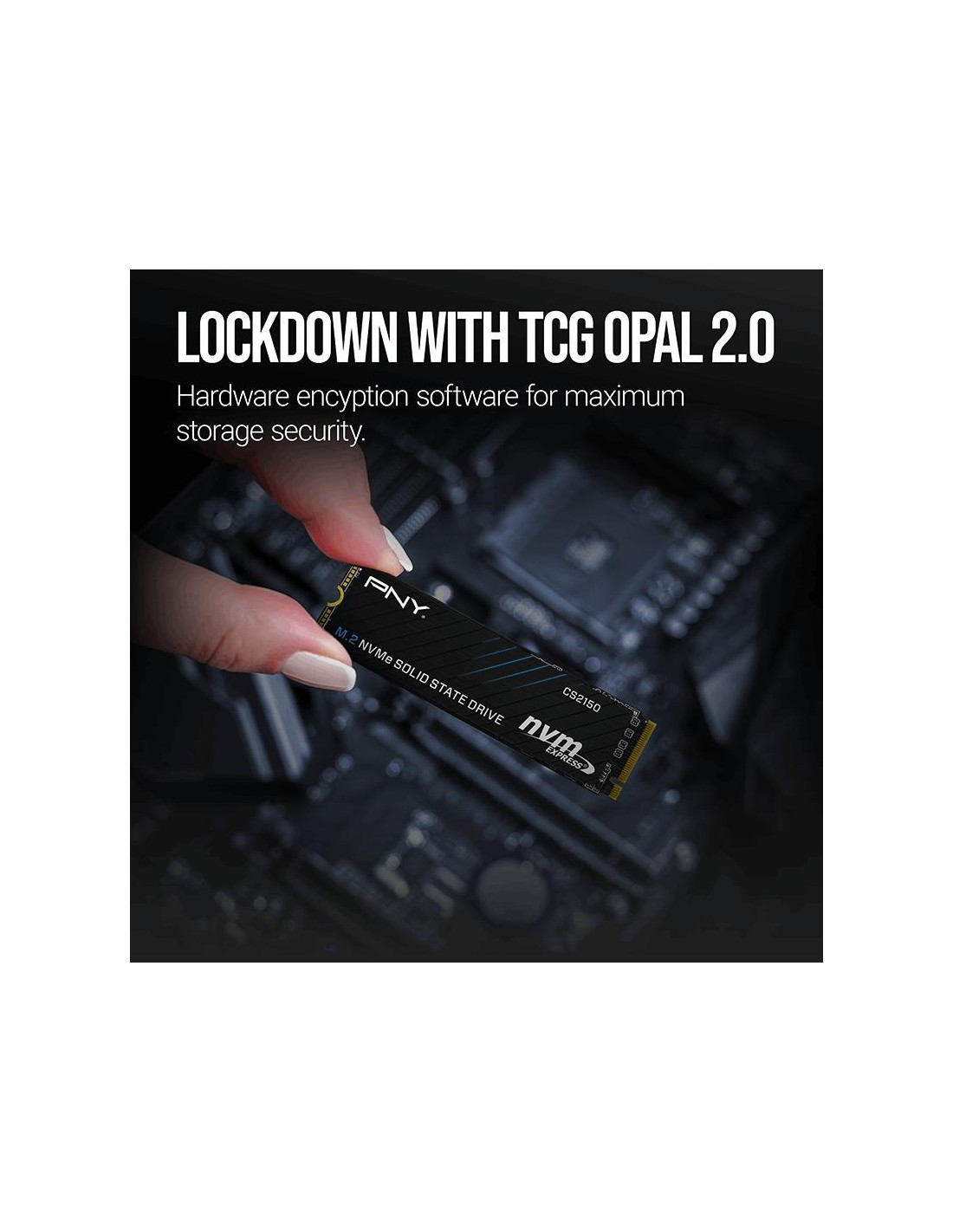 SSD 1To NVMe PCIe rapide pour gaming et création de contenu