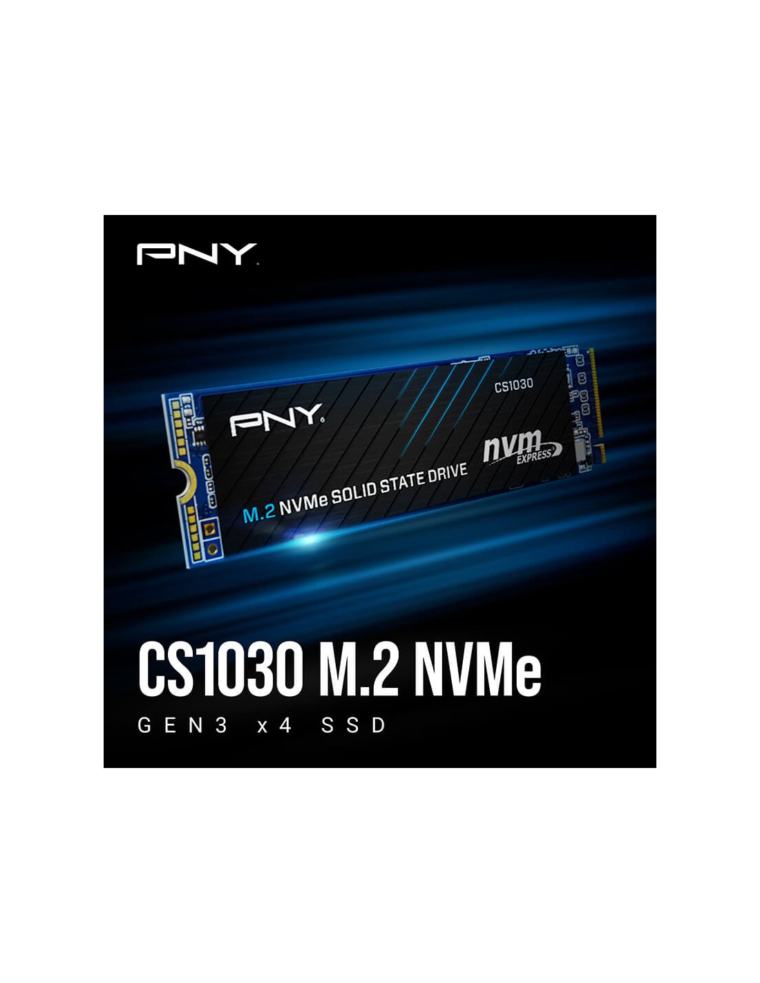 SSD M.2 1To PCIe Gen3 haute vitesse stockage interne PC