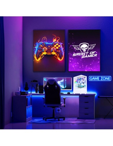 Boîtier PC vitré blanc gaming Spectra Artic structure acier robuste