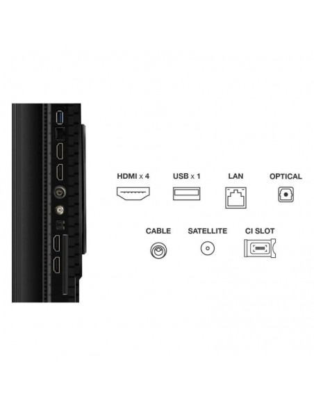 Smart TV TCL 55 pouces Android Google Assistant contrôle vocal intégré