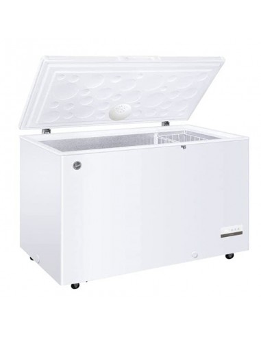 congélateur horizontal grande capacité stockage volumineux aliments