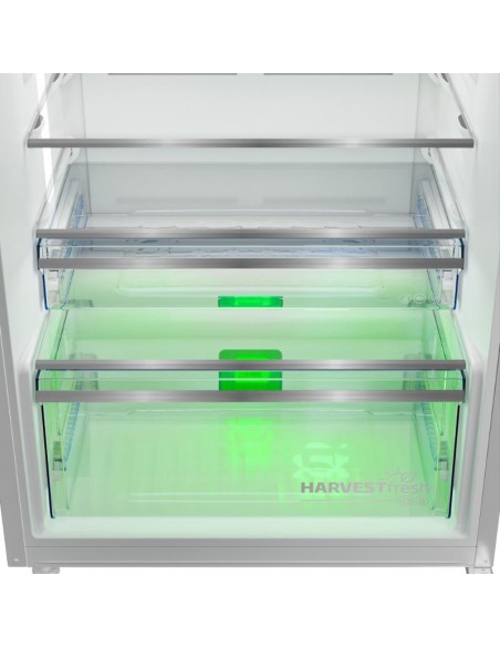 Réfrigérateur BEKO RDNG551M20SXB vue porte ouverte intérieur organisé