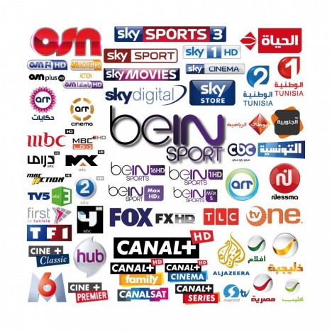 Abonnement IPTV (chaines TV sans parabole) 6 mois Tunisie - Technopro