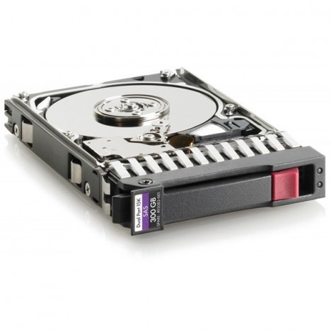 Disque Dur pour serveur 300Go