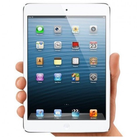 iPad Mini Wifi 16Go Blanc