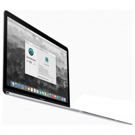 Apple MacBook 12" / Intel Core M / 256 Go /Gris sidéral