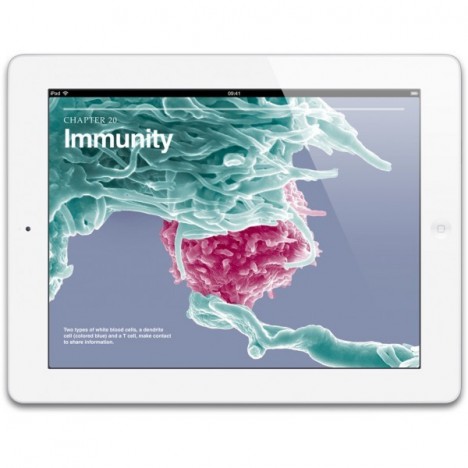 Apple iPad retina - Tablette Tactile 9.7'' Capacitif - Wifi - 4G