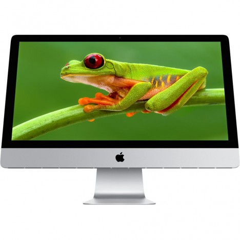 Apple iMac 21.5" / Intel Core i5 / 500 Go