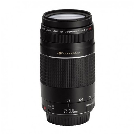 Objectif Canon EF 75-300mm f/4-5.6 III USM