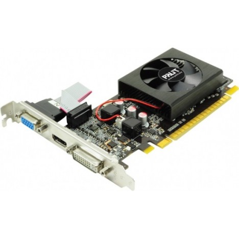 Carte Graphique PALIT Nvidia GeForce® GT 610 1 Go DDR3 Carte Graphique PALIT Nvidia GeForce® GT 610 1 Go DDR3