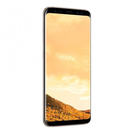 Slide  #2 Téléphone Portable Samsung Galaxy S8 Gold + Gratuité 330 Dt
