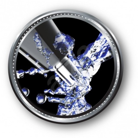 Tondeuse à Oreilles, Nez WAHL Noir/ Silver 5642-135