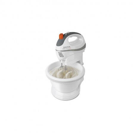 Batteur Taurus Prima Complet TAURUS 300W 91352000 2