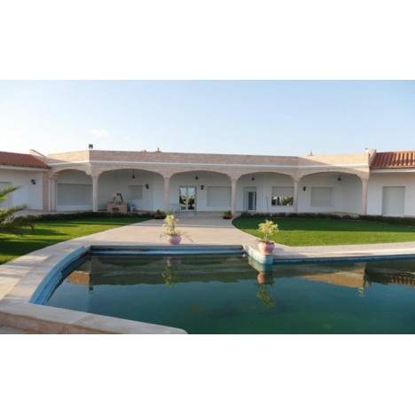 Gazon artificiel Extérieur Intérieur gaz-int-ext