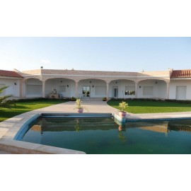 Gazon artificiel Extérieur Intérieur gaz-int-ext