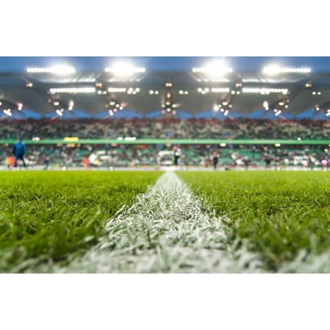 Gazon artificiel Extérieur Intérieur gaz-int-ext