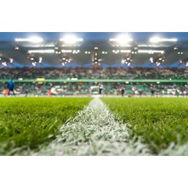 Gazon artificiel Extérieur Intérieur gaz-int-ext