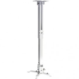 Support Pour VidéoProjecteur 43-65 cm