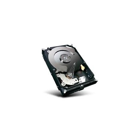 Seagate Constellation - disque dur - 500 Gb - SATA-300
