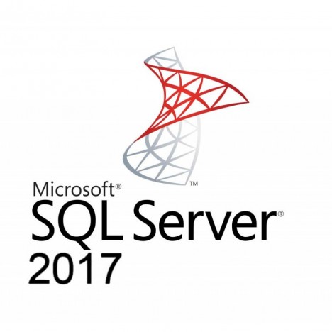 Microsoft SQL Server Standard 2017 OLP (228-11135)