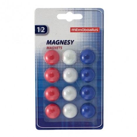12 Aimants MEMOBOARDS Pour Tableau 20 mm (MB20B12)