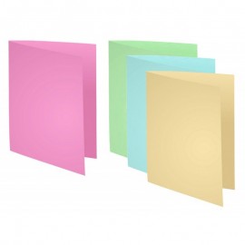 Chemise Cartonnée /Coul. Ass (PQT 100) Chemise Cartonnée /Coul. Ass (PQT 100)