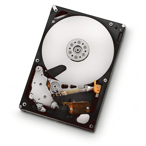 Disque Dur Interne HITACHI 1 To SATA I (HUA722010CLA330)