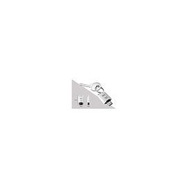 Clé USB Silicon Power Mobile C10 16 Go - Blanc (SP016GBUC3C10V1W)