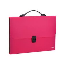 Organiser 13 Compta DELI A4 ASSORTIS - EB40302