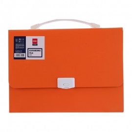 Organiser case 13 Compta DELI A4 ASSORTIS - E38126